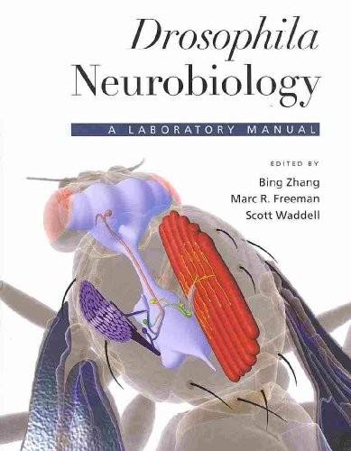Drosophila neurobiology a - neurobiology:,
