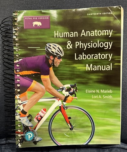 Human anatomy physiology lab - human,