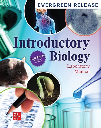 New blank introductory - blank,,