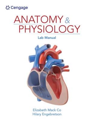 Anatomy physiology lab - anatomy,